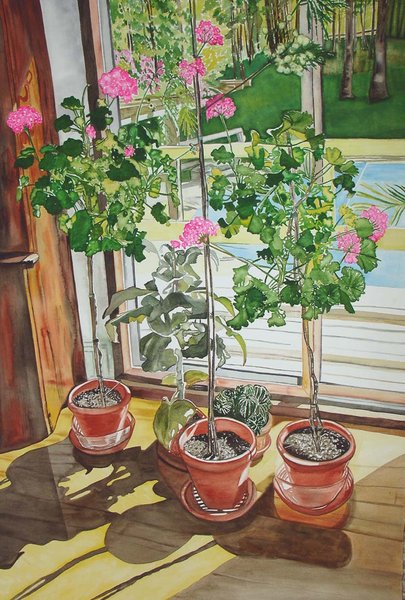Tree Geraniums (c) a.sabalis