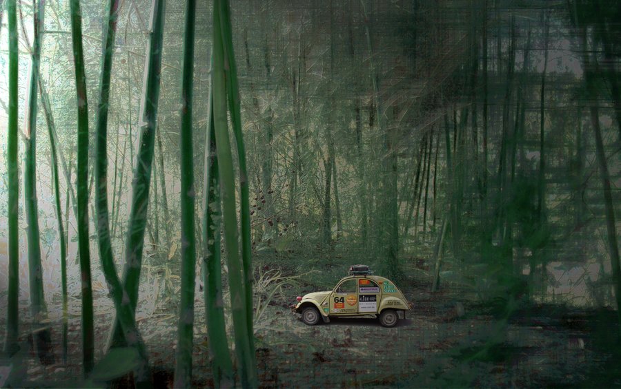 Op reis in het Aspergebos Jean Meganck