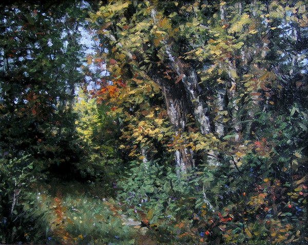 Along an Autumn Path 