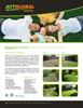 Click to view larger image