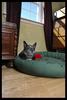 Click to view larger image