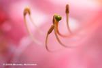 Click to view more images from this portfolio