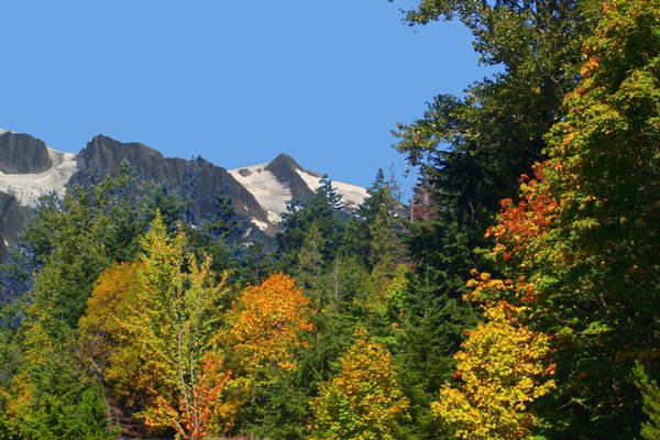 wooded mountains 