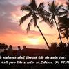 Click to view larger image
