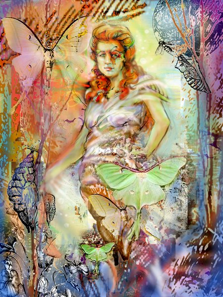 Metamorphosis c 2010