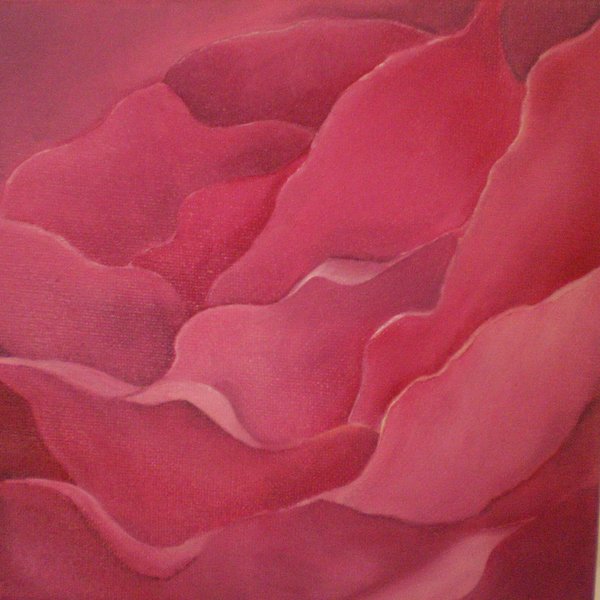 Rose Meaghan Louise Aitchison 2009