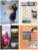 Click to view more images from this portfolio Click to view more images from this portfolio