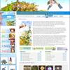 Click to view larger image