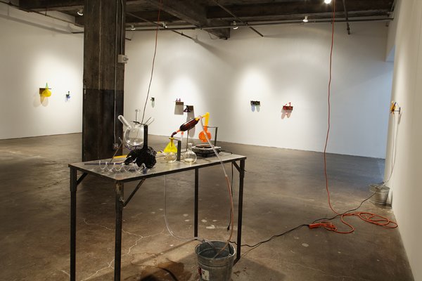 Installation view 