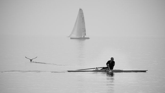  gilbert perrin