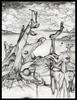 black n white renderings - Click to view more images from this portfolio