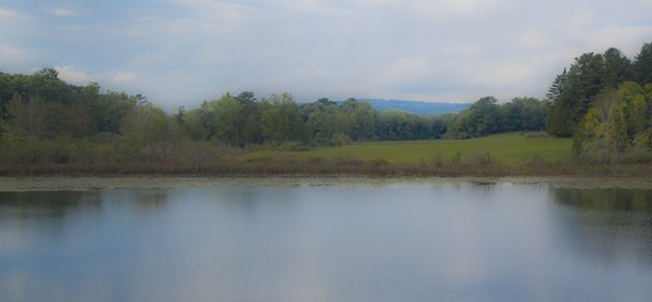 Lillith Pond, Rockport 2010, Julia Carleton