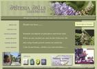 website GUI & commercial - Click to view more images from this portfolio