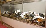 Click to view larger image