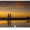 Click to view larger image