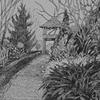 Drawings- a search for the question - Click to view more images from this portfolio