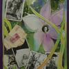 Collage- an assemblage of memory  - Click to view more images from this portfolio