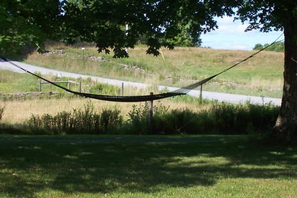 Hammock Beneath the Oak Tree
